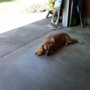 Meet your Posher, Cathy